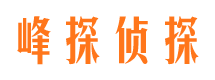 南溪峰探私家侦探公司